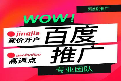 案例分析：百度SEM推广助力企业快速突破